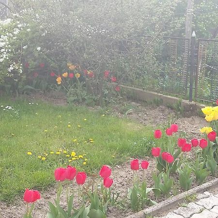 Alom Kucko Apartman Zalaegerszeg Eksteriør bilde