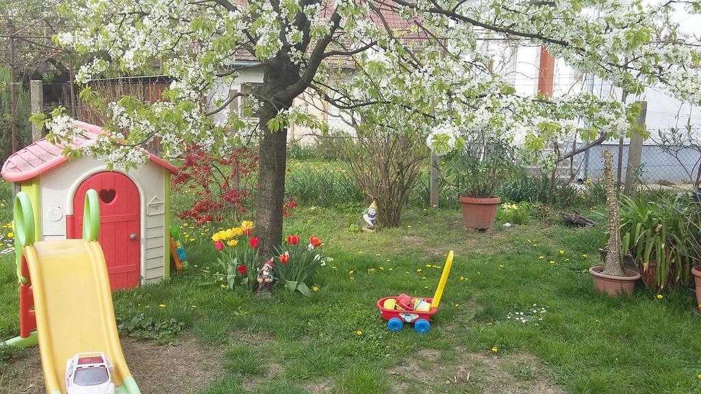 Alom Kucko Apartman Zalaegerszeg Eksteriør bilde
